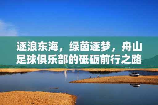 逐浪东海，绿茵逐梦，舟山足球俱乐部的砥砺前行之路，逐浪东海绿茵梦，舟山足球俱乐部的砥砺前行