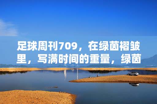 足球周刊709，在绿茵褶皱里，写满时间的重量，绿茵褶皱里的时间重量