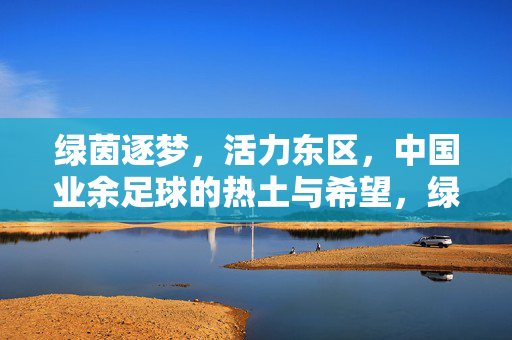 绿茵逐梦，活力东区，中国业余足球的热土与希望，绿茵逐梦，活力东区，中国业余足球的热土与希望