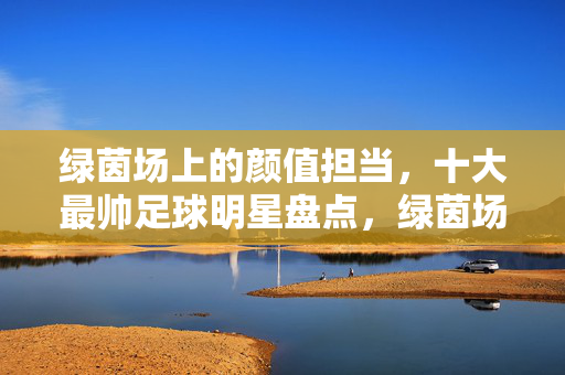 绿茵场上的颜值担当，十大最帅足球明星盘点，绿茵场颜值担当，十大最帅足球明星盘点