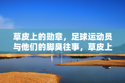 草皮上的勋章，足球运动员与他们的脚臭往事，草皮上的勋章，足球运动员的脚臭往事