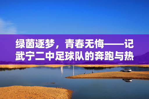 绿茵逐梦，青春无悔——记武宁二中足球队的奔跑与热爱，绿茵逐梦，青春无悔——武宁二中足球队的奔跑与热爱
