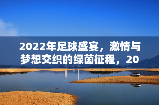 2022年足球盛宴，激情与梦想交织的绿茵征程，2022足球盛宴，激情梦想交织的绿茵征程