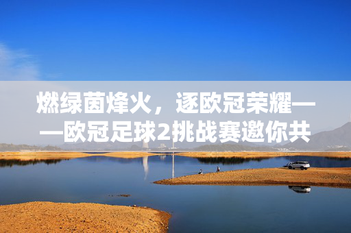 燃绿茵烽火，逐欧冠荣耀——欧冠足球2挑战赛邀你共赴巅峰对决，欧冠足球2挑战赛，燃绿茵烽火，逐巅峰荣耀