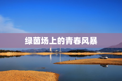 绿茵场上的青春风暴