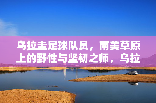 乌拉圭足球队员，南美草原上的野性与坚韧之师，乌拉圭，南美草原上的野性与坚韧之师
