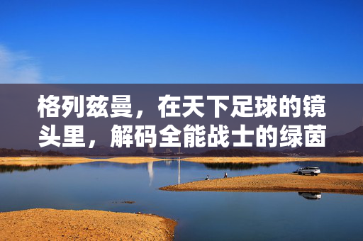 格列兹曼，在天下足球的镜头里，解码全能战士的绿茵史诗，镜头解码格列兹曼，全能战士的绿茵史诗