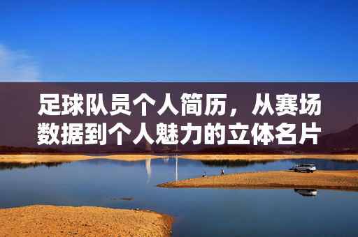 足球队员个人简历，从赛场数据到个人魅力的立体名片，足球队员立体简历，赛场数据与个人魅力的名片