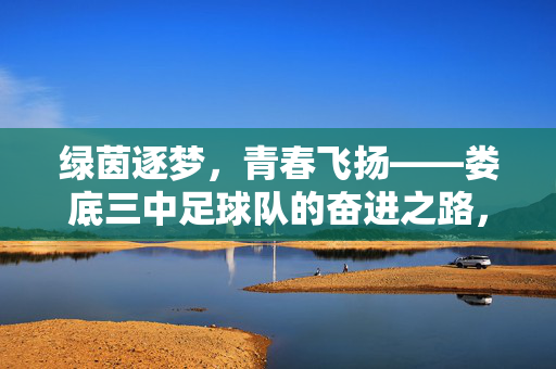 绿茵逐梦，青春飞扬——娄底三中足球队的奋进之路，绿茵逐梦，青春奋进——娄底三中足球队
