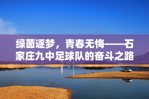 绿茵逐梦，青春无悔——石家庄九中足球队的奋斗之路，绿茵逐梦，青春无悔，石家庄九中足球队奋斗之路