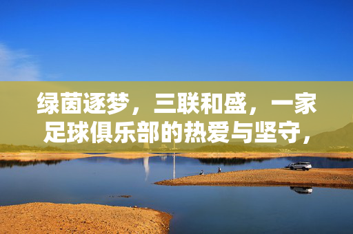 绿茵逐梦，三联和盛，一家足球俱乐部的热爱与坚守，三联和盛，绿茵逐梦的热爱与坚守