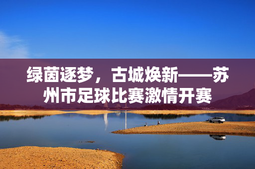 绿茵逐梦，古城焕新——苏州市足球比赛激情开赛