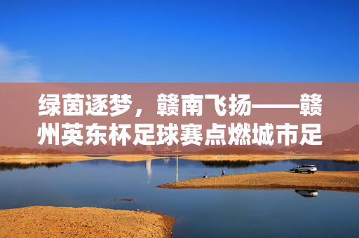 绿茵逐梦，赣南飞扬——赣州英东杯足球赛点燃城市足球激情，赣南逐梦，英东杯点燃城市足球激情