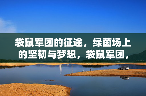 袋鼠军团的征途，绿茵场上的坚韧与梦想，袋鼠军团，绿茵场上的坚韧征途