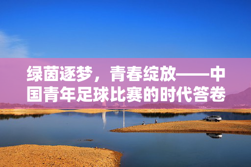 绿茵逐梦，青春绽放——中国青年足球比赛的时代答卷，绿茵逐梦，青春铸就时代答卷