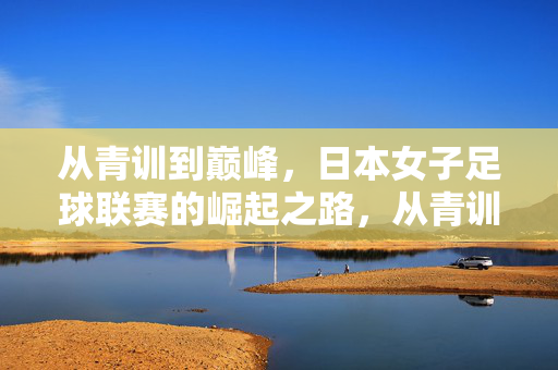 从青训到巅峰，日本女子足球联赛的崛起之路，从青训到巅峰，日本女子足球联赛的崛起