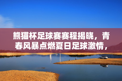 熊猫杯足球赛赛程揭晓，青春风暴点燃夏日足球激情，熊猫杯赛程揭晓，青春风暴点燃夏日足球激情