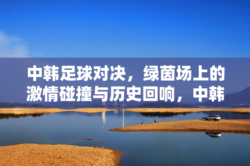 中韩足球对决，绿茵场上的激情碰撞与历史回响，中韩足球对决，激情碰撞与历史回响