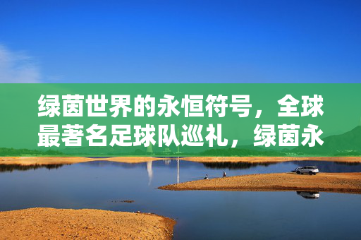 绿茵世界的永恒符号，全球最著名足球队巡礼，绿茵永恒符号，全球顶级足球队巡礼