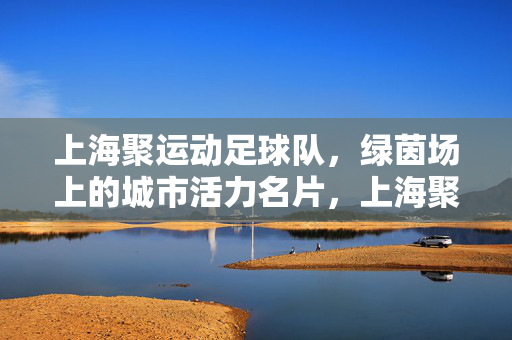 上海聚运动足球队，绿茵场上的城市活力名片，上海聚运动足球队，绿茵场上的城市活力名片