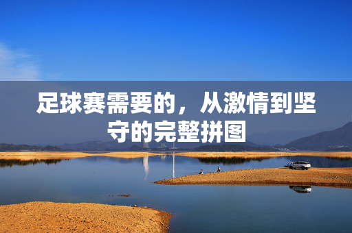 足球赛需要的，从激情到坚守的完整拼图