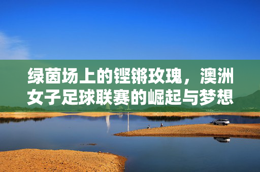 绿茵场上的铿锵玫瑰,澳洲女子足球联赛的崛起与梦想