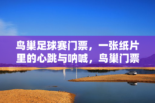 鸟巢足球赛门票，一张纸片里的心跳与呐喊，鸟巢门票，一张纸片里的心跳与呐喊