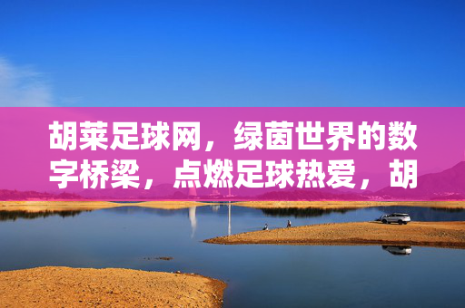 胡莱足球网，绿茵世界的数字桥梁，点燃足球热爱，胡莱足球网，数字桥梁，点燃足球热爱