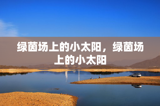 绿茵场上的小太阳，绿茵场上的小太阳