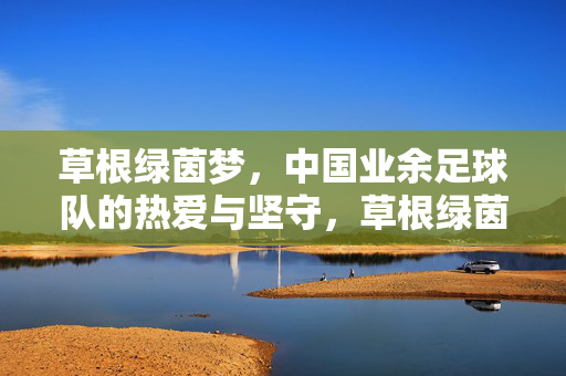 草根绿茵梦，中国业余足球队的热爱与坚守，草根绿茵梦，中国业余足球队的热爱与坚守
