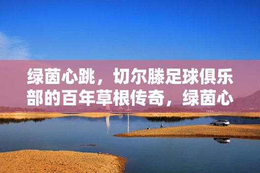 绿茵心跳，切尔滕足球俱乐部的百年草根传奇，绿茵心跳，切尔滕的百年草根传奇