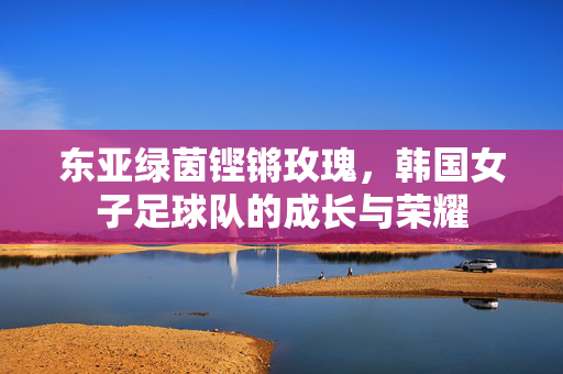 东亚绿茵铿锵玫瑰，韩国女子足球队的成长与荣耀
