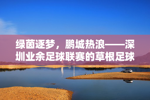 绿茵逐梦，鹏城热浪——深圳业余足球联赛的草根足球史诗，鹏城草根足球史诗，绿茵逐梦的联赛热浪