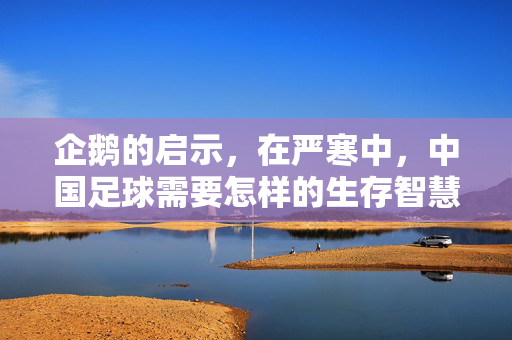 企鹅的启示，在严寒中，中国足球需要怎样的生存智慧？中国足球的企鹅启示，严寒中的生存智慧