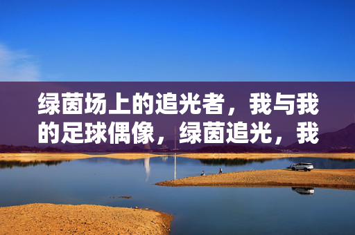 绿茵场上的追光者，我与我的足球偶像，绿茵追光，我与足球偶像