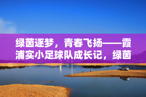 绿茵逐梦，青春飞扬——霞浦实小足球队成长记，绿茵逐梦，霞浦实小足球队的青春成长