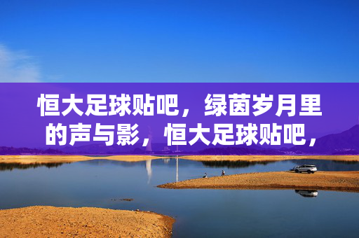 恒大足球贴吧，绿茵岁月里的声与影，恒大足球贴吧，绿茵岁月里的声与影