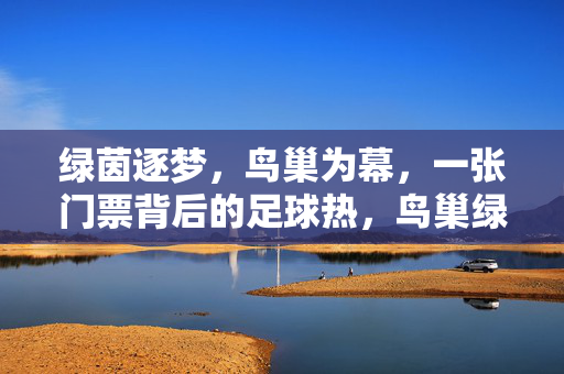 绿茵逐梦，鸟巢为幕，一张门票背后的足球热，鸟巢绿茵逐梦，一张门票背后的足球热