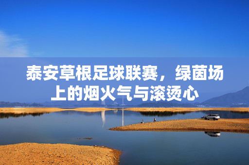 泰安草根足球联赛，绿茵场上的烟火气与滚烫心