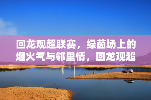 回龙观超联赛,绿茵场上的烟火气与邻里情,回龙观超联赛,绿茵烟火邻里情