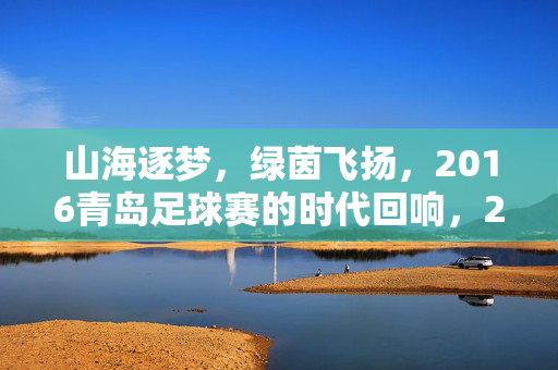 山海逐梦，绿茵飞扬，2016青岛足球赛的时代回响，2016青岛足球赛，山海逐梦，绿茵回响
