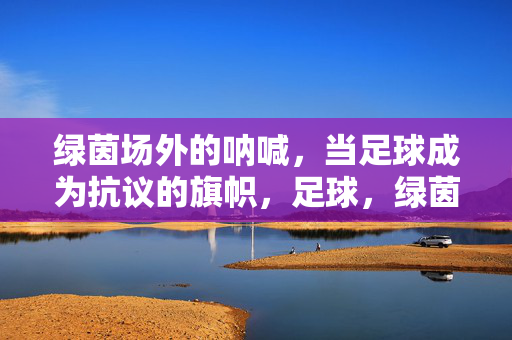 绿茵场外的呐喊，当足球成为抗议的旗帜，足球，绿茵场外的抗议旗帜