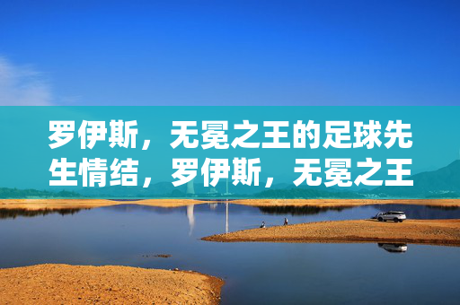 罗伊斯，无冕之王的足球先生情结，罗伊斯，无冕之王的足球先生执念