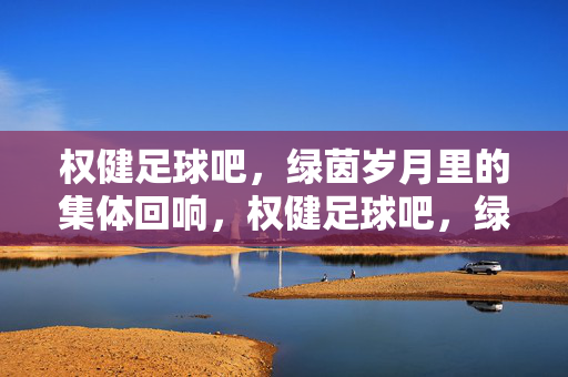 权健足球吧，绿茵岁月里的集体回响，权健足球吧，绿茵岁月的集体回响