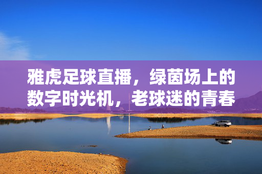 雅虎足球直播，绿茵场上的数字时光机，老球迷的青春记忆与新世代观赛选择，雅虎足球直播，绿茵数字时光机，连接新老球迷的足球记忆与选择