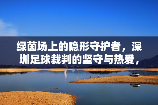 绿茵场上的隐形守护者，深圳足球裁判的坚守与热爱，绿茵隐形守护者，深圳足球裁判的坚守与热爱