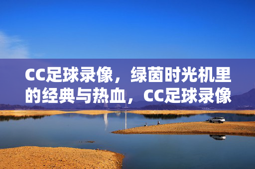 CC足球录像，绿茵时光机里的经典与热血，CC足球录像，绿茵时光机里的经典与热血