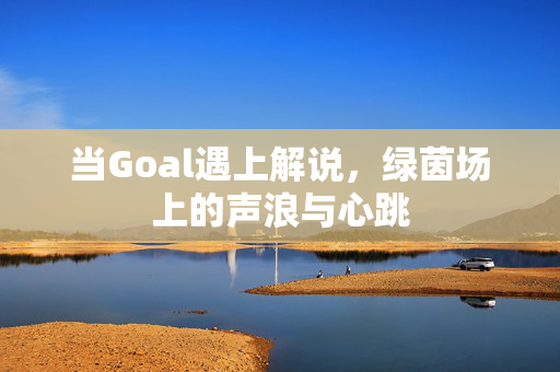 当Goal遇上解说，绿茵场上的声浪与心跳