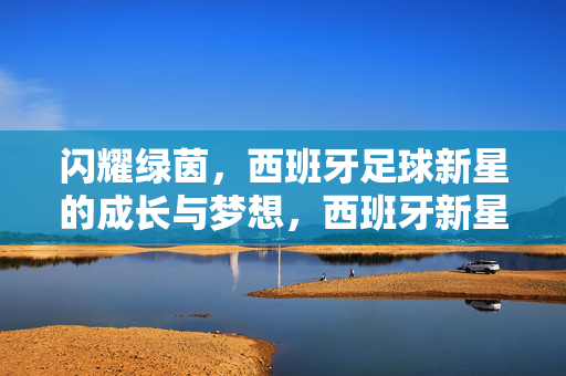 闪耀绿茵，西班牙足球新星的成长与梦想，西班牙新星绿茵逐梦