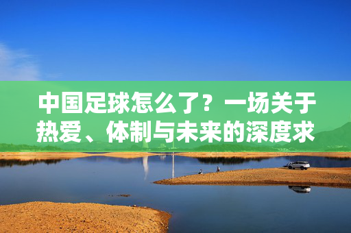 中国足球怎么了？一场关于热爱、体制与未来的深度求解，中国足球，热爱、体制与未来的深度求解